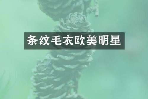 条纹毛衣欧美明星