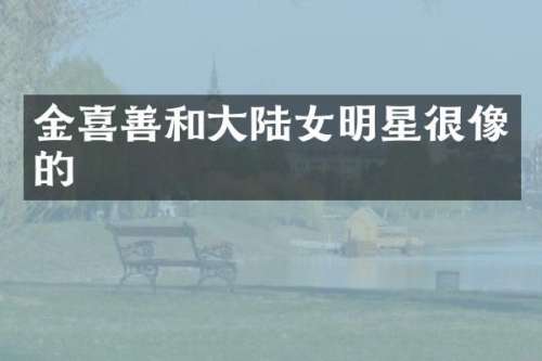 金喜善和大陆女明星很像的