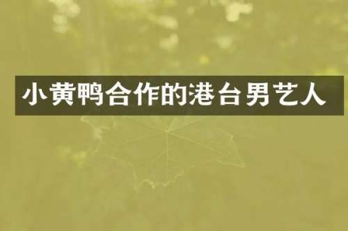 小黄鸭合作的港台男艺人