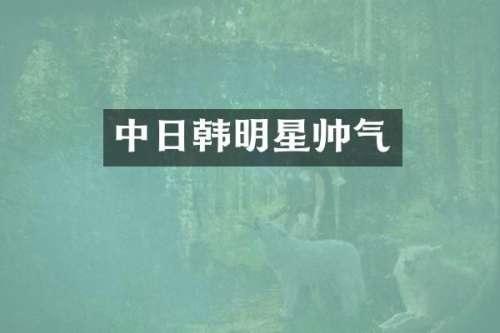 中日韩明星帅气