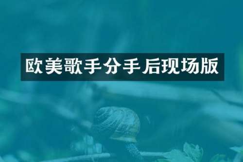 欧美歌手分手后现场版