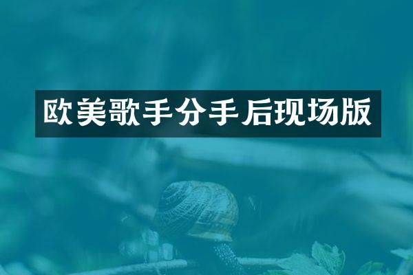 欧美歌手分手后现场版