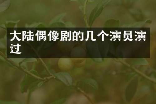 大陆偶像剧的几个演员演过