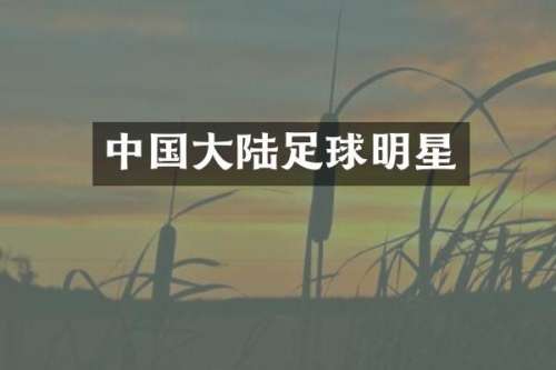 中国大陆足球明星