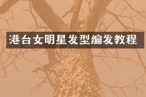 港台女明星发型编发教程