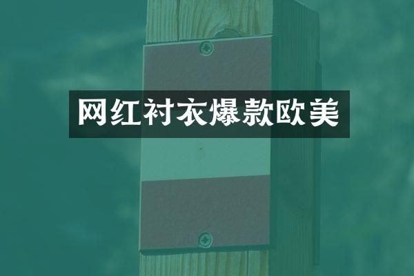 网红衬衣爆款欧美