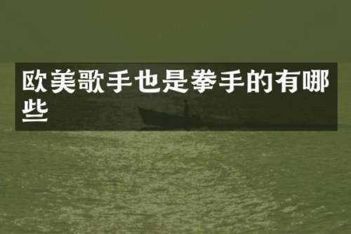 欧美歌手也是拳手的有哪些