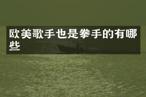 欧美歌手也是拳手的有哪些