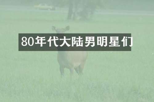 80年代大陆男明星们