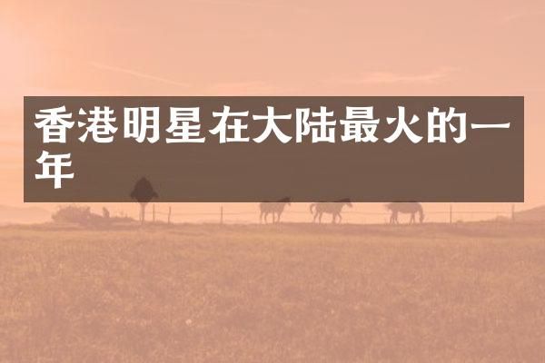 香港明星在大陆最火的一年