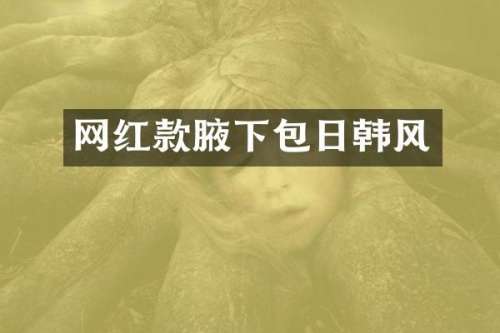 网红款腋下包日韩风