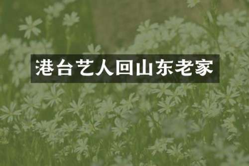 港台艺人回山东老家
