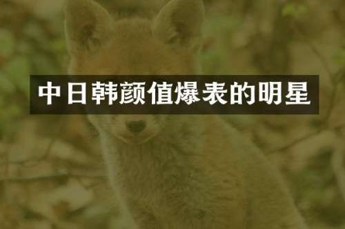 中日韩颜值爆表的明星