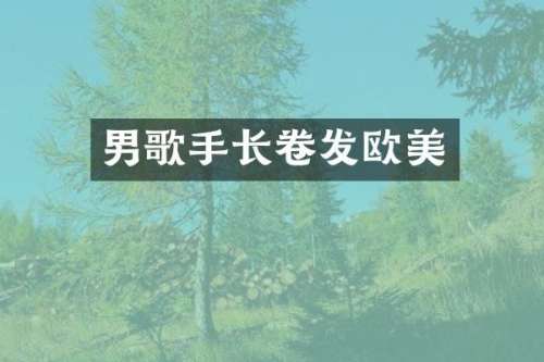 男歌手长卷发欧美