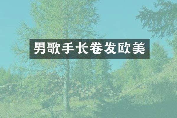男歌手长卷发欧美