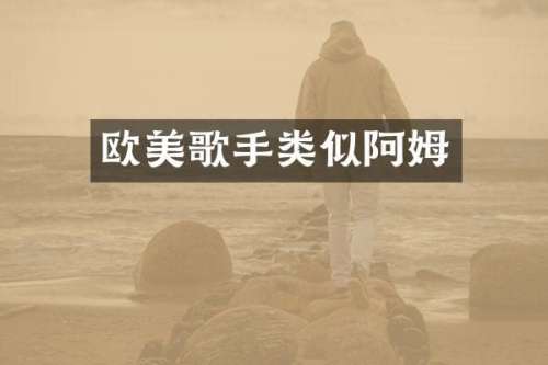 欧美歌手类似阿姆