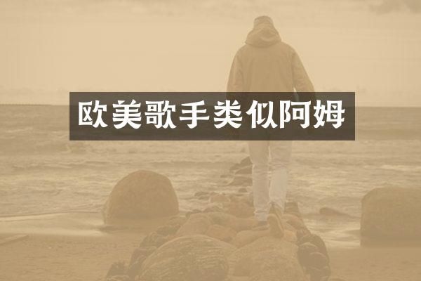 欧美歌手类似阿姆