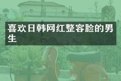 喜欢日韩网红整容脸的男生