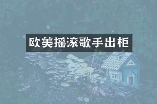 欧美摇滚歌手出柜