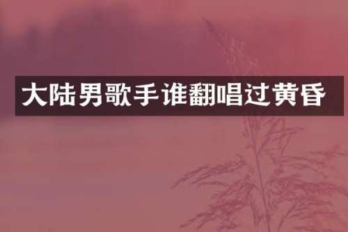 大陆男歌手谁翻唱过黄昏