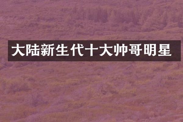 大陆新生代十大帅哥明星