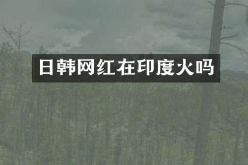 日韩网红在印度火吗