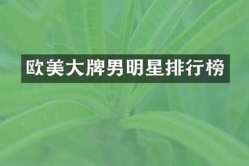 欧美大牌男明星排行榜