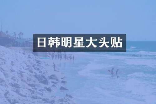 日韩明星大头贴