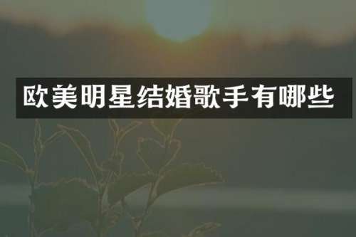欧美明星结婚歌手有哪些