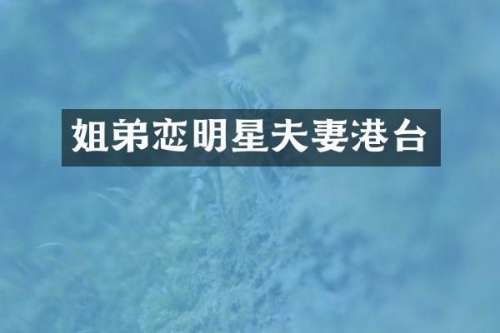 姐弟恋明星夫妻港台