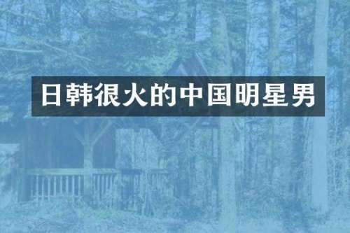 日韩很火的中国明星男