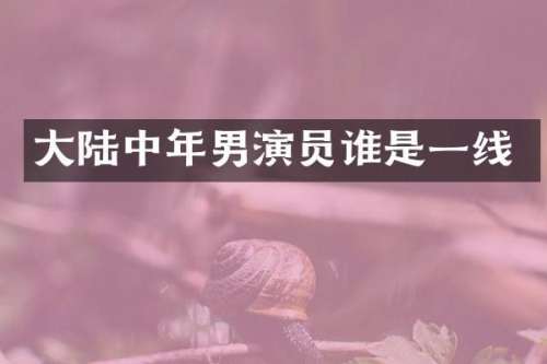 大陆中年男演员谁是一线