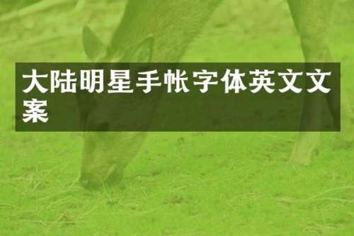 大陆明星手帐字体英文文案
