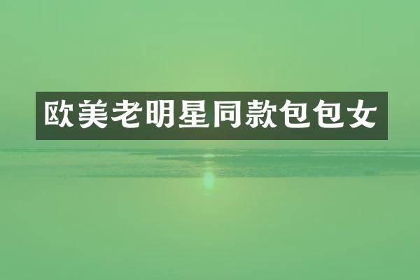 欧美老明星同款包包女