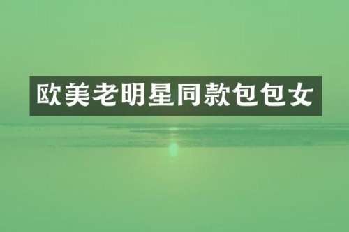 欧美老明星同款包包女