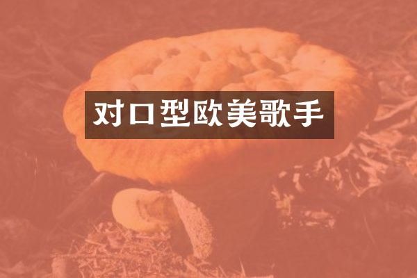 对口型欧美歌手