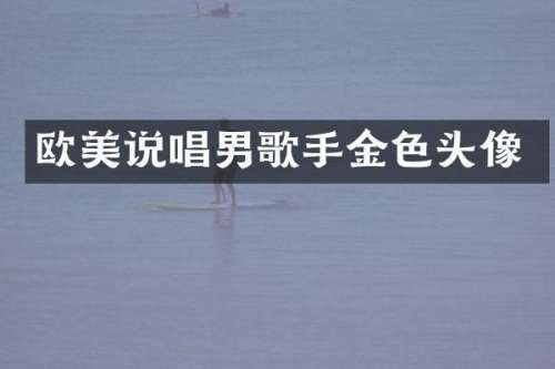 欧美说唱男歌手金色头像