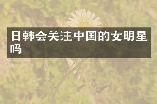 日韩会关注中国的女明星吗