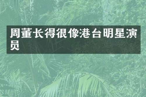 周董长得很像港台明星演员