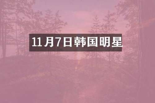 11月7日韩国明星