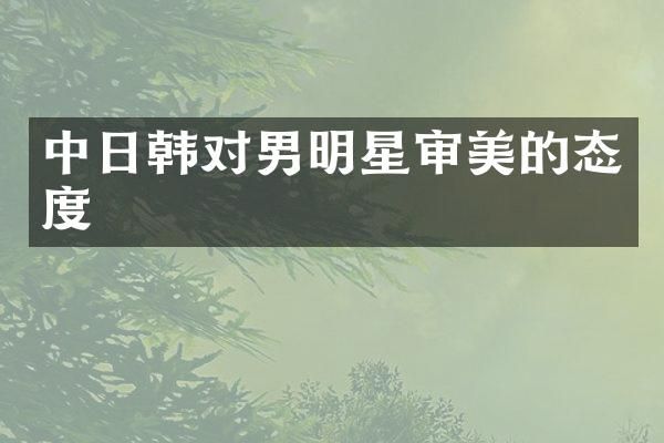 中日韩对男明星审美的态度