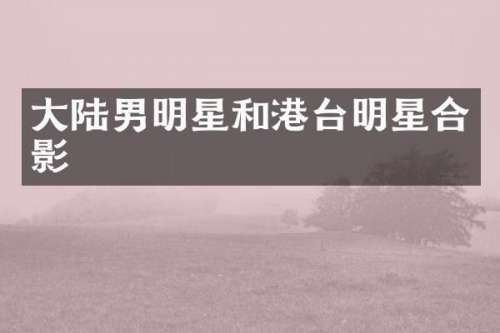 大陆男明星和港台明星合影