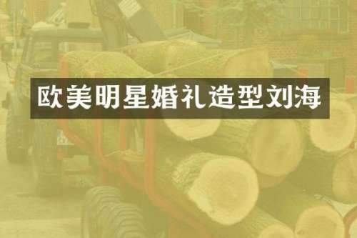欧美明星婚礼造型刘海