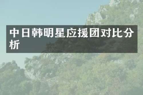 中日韩明星应援团对比分析