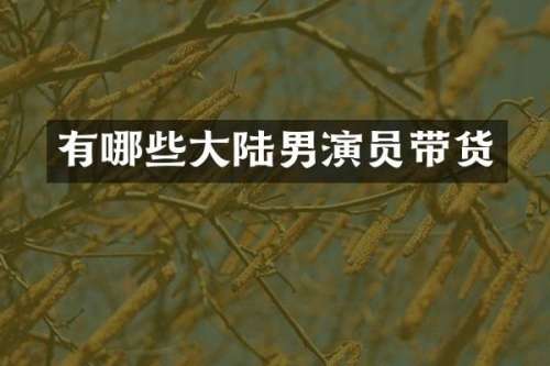 有哪些大陆男演员带货