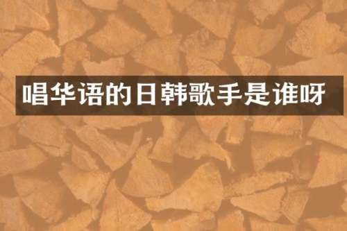 唱华语的日韩歌手是谁呀
