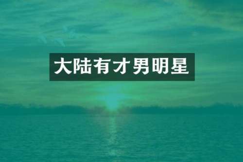 大陆有才男明星