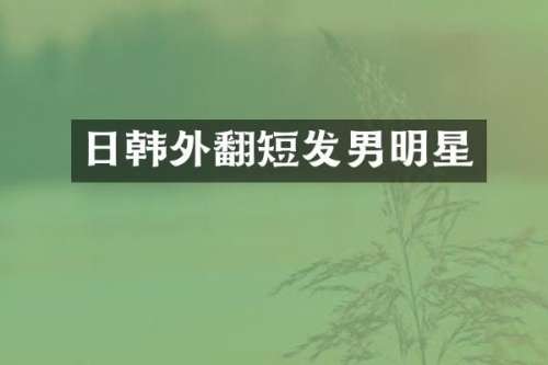 日韩外翻短发男明星