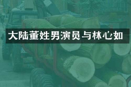 大陆董姓男演员与林心如