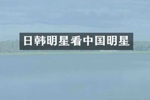 日韩明星看中国明星